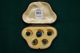 Victorian leather cased set of five operculum shells.