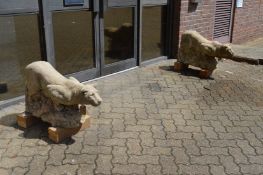 A good pair of reconstituted stone models of prowling lions.