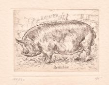 Hil Scott, 'Warthog', etching, signed and inscribed in pencil and numbered 4/10, plate size 4