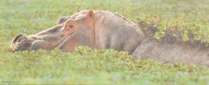 Brian Jarvi (b. 1956), a study of a bathing hippopotamus covered in foliage, oil on board, signed,