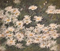 Early 20th Century Continental School, a still life study of white wildflowers, oil on canvas, 24