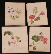 English School, 19th Century, a collection of Botanical studies by various hands, watercolour,