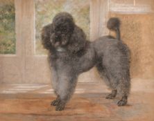 Dorothy S. Hallett, circa 1930, 'Fi-Fi, Adastra Blue', a study of a poodle, pastel, signed and