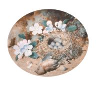 William Cruickshank (1848-1922), a pair of watercolour and gouache still life studies of bird's