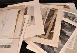 Bessin after Redoute, 'Allium Mutabile', hand coloured stipple engraving and a large collection of