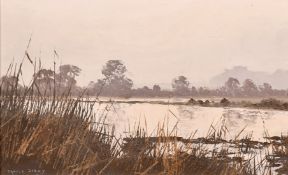 Pamela Derry (1932-2002), a river view oil on board, signed, 9