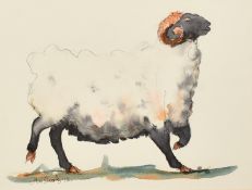 Claire Norrington (b. 1969), a poised ram, watercolour, signed Claire Shirley, 7