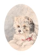 19th Century English School. Study of a Dog, Watercolour, Indistinctly signed, Oval, Unframed 5