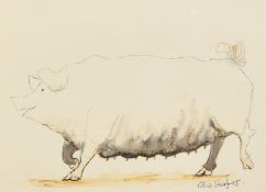 Claire Norrington (b. 1969), a pig standing on two legs, watercolour, signed Claire Shirley, 7