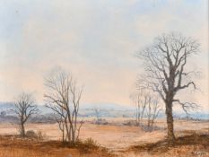 Gerard Hughes (20th Century), 'Vale of Aylesbury' oil on board, signed, 6