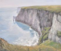 Neil Tyer (b. 1945), 'Flamborough Head', a coastal view, oil on canvas, signed, 20
