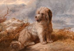 19th Century English School, seated dog in landscape shrouded with mist, oil on canvas, indistinctly