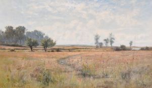 Alexander Lawson, Circa 1900, wildflowers by a path through the fields, oil on canvas, signed, 12