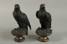 A GOOD PAIR OF BRONZE EAGLES. 23cm high.