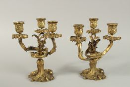 A GOOD PAIR OF 19TH CENTURY GILDED BRONZE, TRIPLE LIGHT CANDLESTICKS with scrolls, flowers and