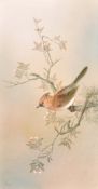 20th Century. A cardinal perched on a flowering branch, oil on canvas. Sgned Mai, 22