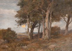 George Faulkner Wetherbee (1851-1920) Dusk through Trees, oil on canvas board, 13
