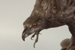 JULES MOIGNIEZ(1835 - 1894) FRENCH A SUPERB BRONZE OF A EAGLE ON A BRANCH. Signed 77cm high, on a