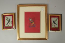 A COLLECTION OF THREE 19TH CENTURY INDIAN COMPANY SCHOOL PAINTINGS OF BIRDS ON MICA, (3).