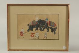 A FINE 19TH CENTURY INDIAN MINIATURE PAINTING, depicting an elephant fight, framed and glazed, image