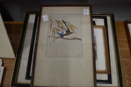 A watercolour and gouache painting of a bird on a branch together with four engravings.