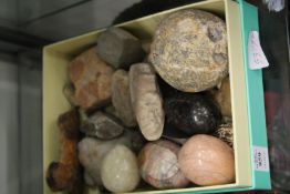 A collection of stone samples and other items.