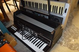 A Lorenzo portable keyboard and another keyboard.