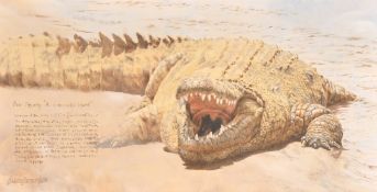 Brian Jarvi (b. 1956), a crocodile at the water's edge, oil on board, signed, 12