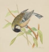 Ella Bruce (20th Century) A bird on a branch, watercolour, signed in pencil, 7.75