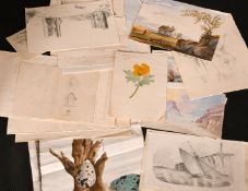 19th Century English School, a collection of unframed drawings, natural history and other