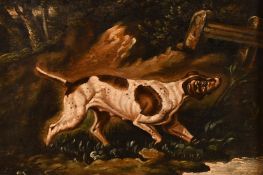 19th Century English primitive school, a hound on the scent, oil on oak panel, 9.25