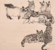 Kay Nixon (1895-1988), a study of eight cats in various positions, ink and wash heightened in white,