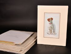 Eric Kincaid (1931-2023), a collection of illustrations featuring animals and other subjects,