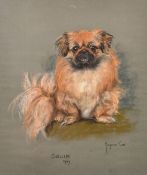 Marjorie Cox (1915-2003), 'Squib, 1969', a pastel study of a Pekingese, signed, 17.75