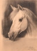 Iwan Hugentobler (1886-1972) Swiss, a horse's head looking over a stable door, charcoal, signed,