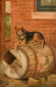 Charles Edwin Baldock, Circa 1893, a dog resting on a barrel, oil on board, signed and dated 1893,