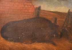 English primitive school, 19th Century, a prize black pig, oil on panel, 6.5