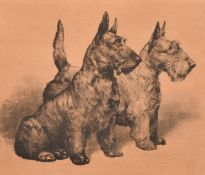 Two prints of cats each 9