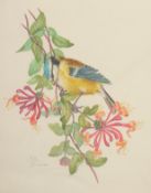 Ella Bruce (20th Century) A Blue Tit on Honey Suckle, watercolour, signed in pencil, 8.75