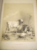 COOPER (T.) Thirty Four Subjects of Cattle, folio, 9 plates only, loose in binding, L., 1837 (as a