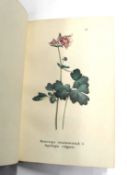 [RUSSIAN BOTANY] [Russian text] [Drawings / Illustrations of Saint Petersburg Flora...Fourth Book]
