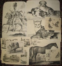 An Auction of Antiquarian & Secondhand Books