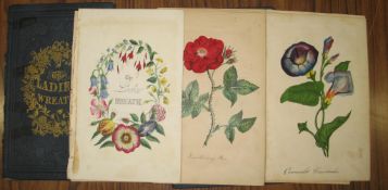 [BOTANICAL PRINTS] litho title 