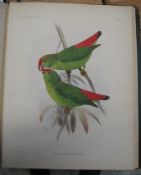 [ORNITHOLOGY] (Provisional Title) Report on the Scientific Results of the Voyage of H.M.S.