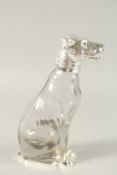 A PLAIN GLASS AND SILVER PLATE NOVELTY DOG CLARET JUG. 24cms high.