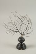 A BLACK CORAL SPECIMEN. 16cms high x 12cms wide, on a wooden plinth.