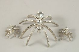 A BUTLER AND WILSON SPIDER BROCCH AND EARRINGS, boxed.