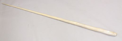 AN EARLY 19TH CENTURY NARWHAL TUSK 221cms long, weighing 4.6 kilos.Showing the expected age cracks