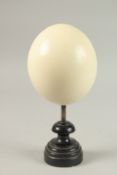 A LARGE OSTRICH EGG. 15cms x 11cms, on a wooden plinth.