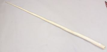 AN EARLY 19TH CENTURY NARWHAL TUSK 220cms long, weighing 4.45 kilos. Showing the expected age